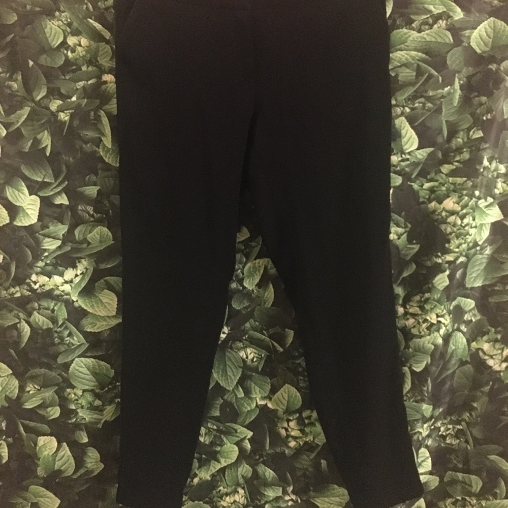 White House Black Market Pants